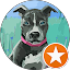 Joshua Garza Avatar