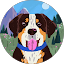 Brian Ouellette Avatar